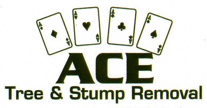 Ace Tree Stump Removal